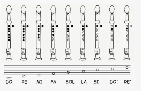 Gama de compañero Chelín ▷ Flauta dulce: Partes y notas musicales fáciles de aprender hoy