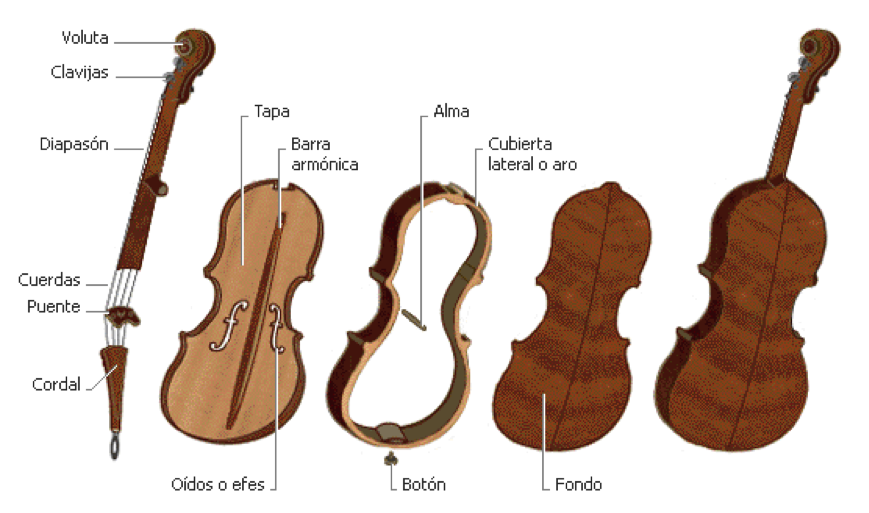 Partes del violin
